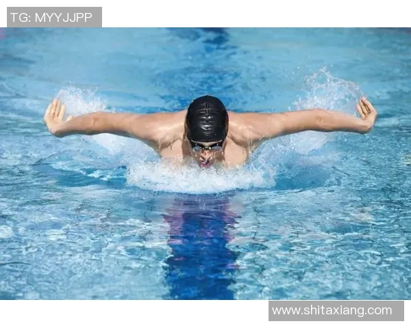 自由泳训练计划：提升技术与耐力的系统化训练方案与方法