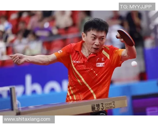 乒乓球灵活性评比揭晓上海乒乓球队荣登第七名引关注